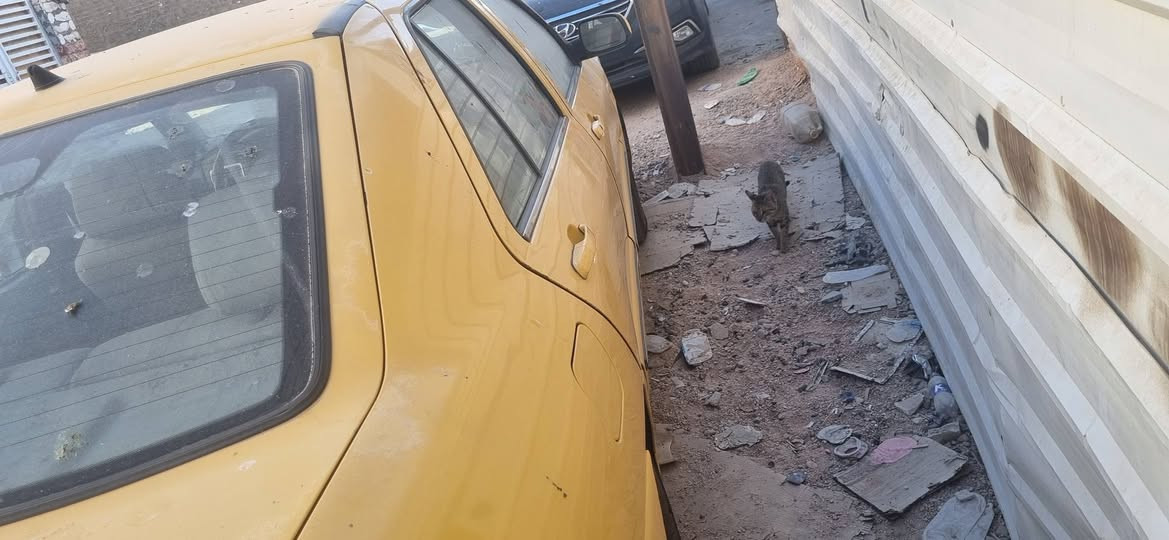 شيري كوين موديل ٢٠١١ 
السعر  ١٩ ورقة 
المكان بغداد حي الجهاد
للاتصال 👇
***********
