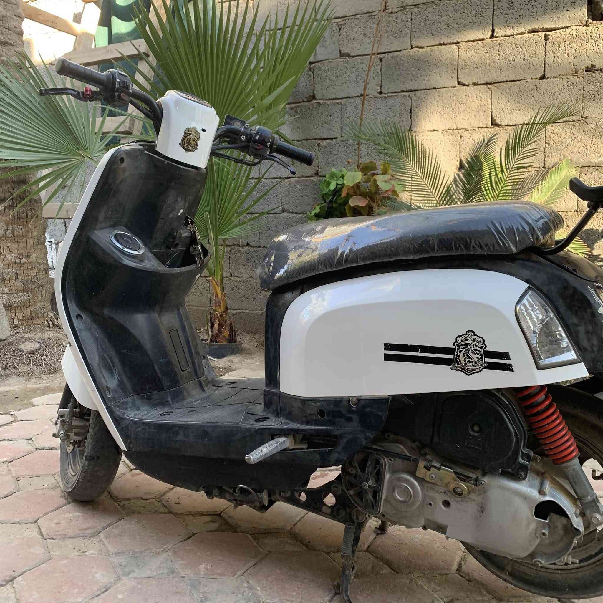 ماكس بوليس بلادية للبيع السعر550 وبيها مجال عوزها فقط بريك خلفي


**إذا كنت صاحب هذا الإعلان وتريد حذفه لأي سبب، رجاءا أرسل رسالة إلى الدعم الفني**