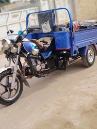 ستوته صقر للبيع مكفوله كفاله عامه مديل 23 وكيل نبيل ابن جرب.. اوراق.. ...