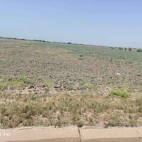 ٢٠ دونم • عقد زراعي • سدير