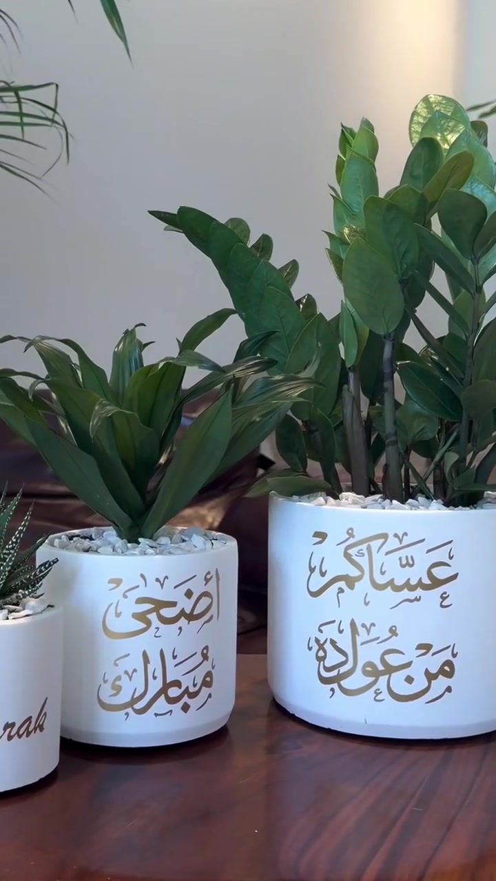 بنات توفر سنادين زرع والزرع حقيقي والطبع انتو الي تختارو شغل يجنن واضح بالفيديو ❤❤


**إذا كنت صاحب هذا الإعلان وتريد حذفه لأي سبب، رجاءا أرسل رسالة إلى الدعم الفني**