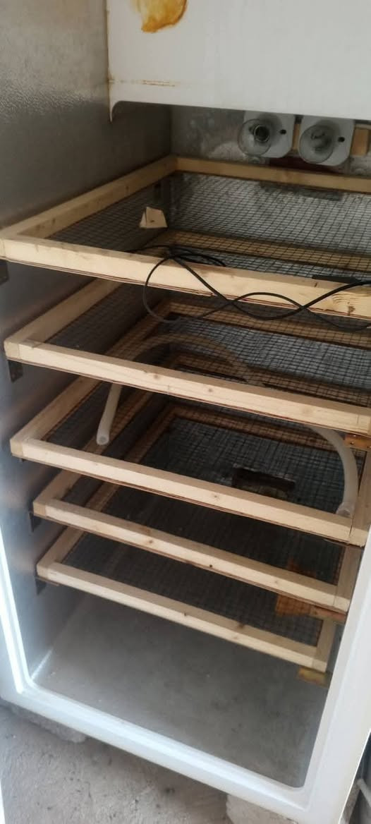 السلام عليكم موجود فقاسه للبيع السعر 100,000 وبيها مجال تاخذ 650 بيضه مجربه جميع البيض تاخذ التواصل***********
