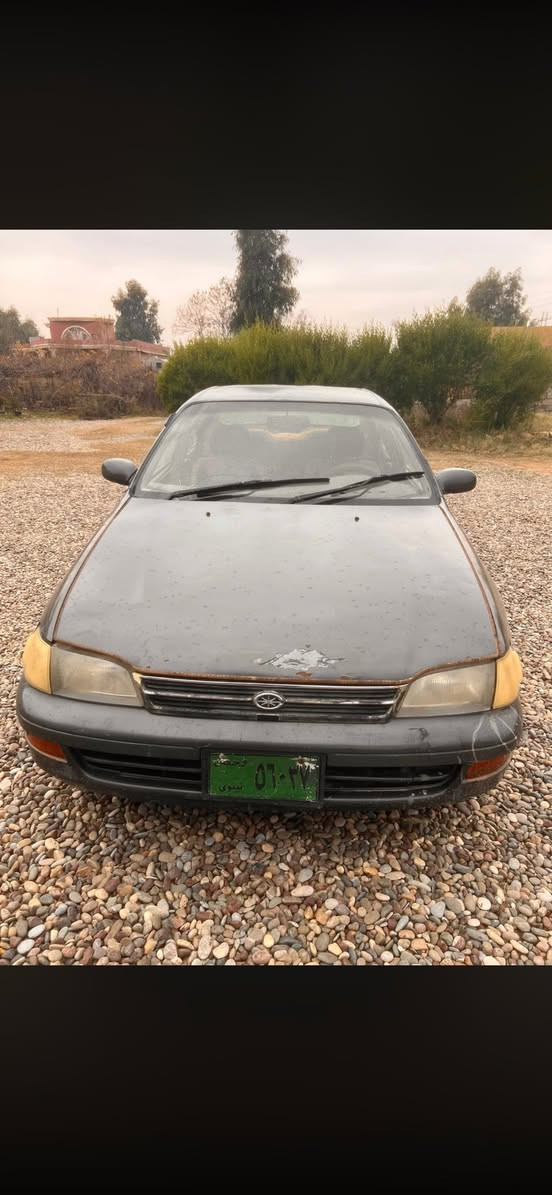 كورلا فرخ بطه
رقم نينوئ 
مصبوغه عام جمالية
السعر ٢٥
***********
***********
