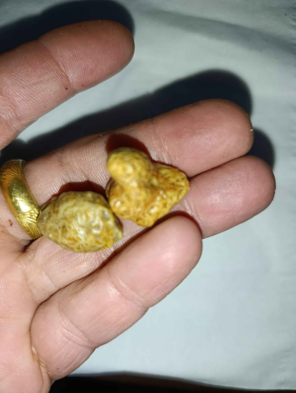 حجار كلشي موجود سلطاني مصور ملاكط نوادر زوعات يخبلن هبهاب داودي هندي مصور لبيع تواصل خاص بغداد, العراق


**إذا كنت صاحب هذا الإعلان وتريد حذفه لأي سبب، رجاءا أرسل رسالة إلى الدعم الفني**