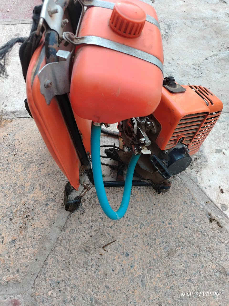 للبيع حاشوشه للبيع
واسط صويره ***********
