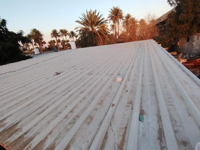 السلام عليكم مكلفه بلنشر سندويش نضيف كلش تجي تفتحه بيدك 12قطعه كل قطعه طولهة 12متر سعر المتر ب8 وياهن 11شخاطه ثقيل سعر القطعه ب15
مكان السدة حي الري نزلة الجسر رقم صاحبهن ***********
