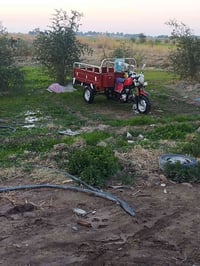 ستوته دايون • موديل ١٥ • كفاله عامه