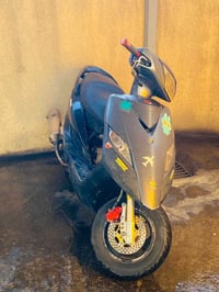 ثعلب • معدلة • ٥٨.٥