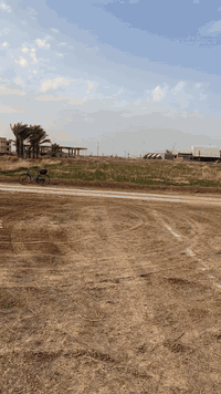 منطقة الشراع • دونم • طابو زراعي