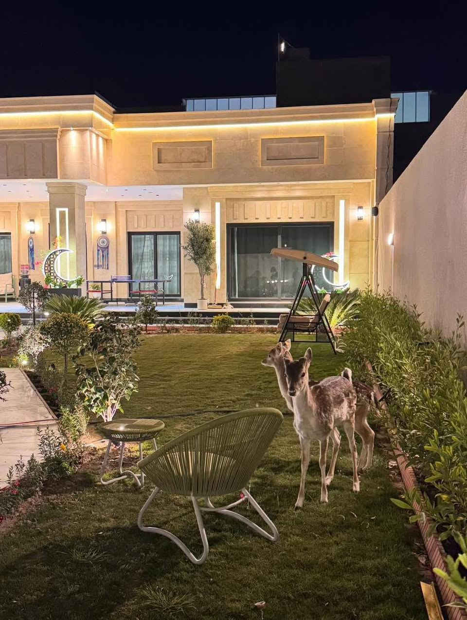 متوفر حجوزات طيلت ايام
الاسبوع احجز وانته مطمئن 
المزارع موثقه بتطبيق اجرلي 
للحجز والاستفسار واتساب***********
الموقع:حي الجهاد(المكاسب)
