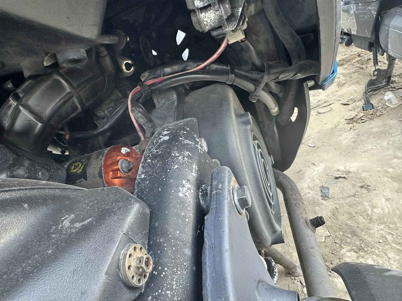 مراوس بعدله مزوده مال لعب او بلادي بس قويه نضافه فول معدل وشلعه فول مصار شهر ونص منزلها مابيها اي نقص 
*********** واتساب فقط
