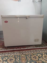 مجمدة • ٩٠٪ حالة • الفلوجة