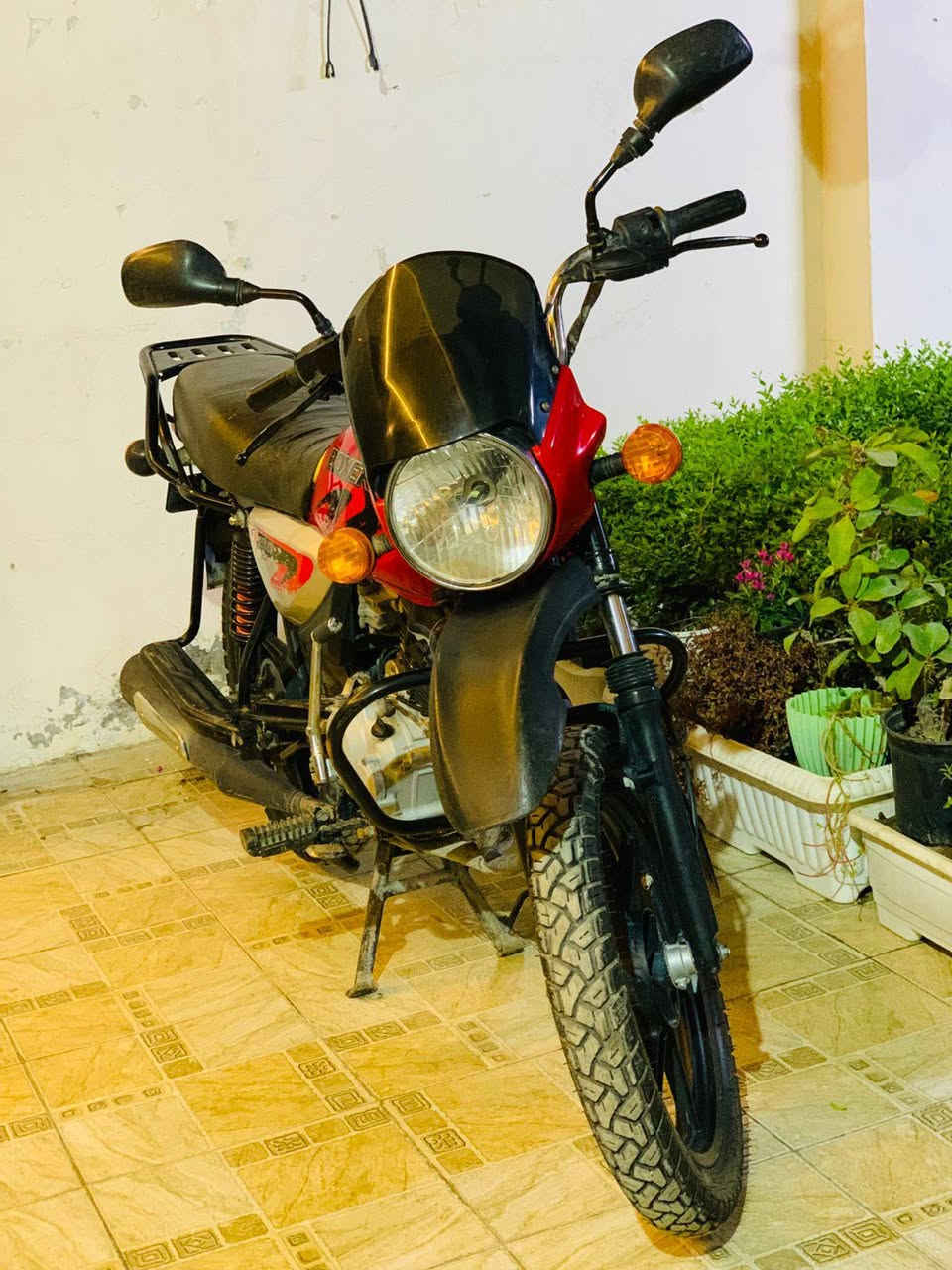 بوكسر جبلي 21 أوراق اصولي 
السعر/950
حله مركز المدينة 
***********
