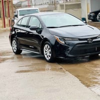 كورولا LE • ٢٠٢٤ • صبغ بونيت