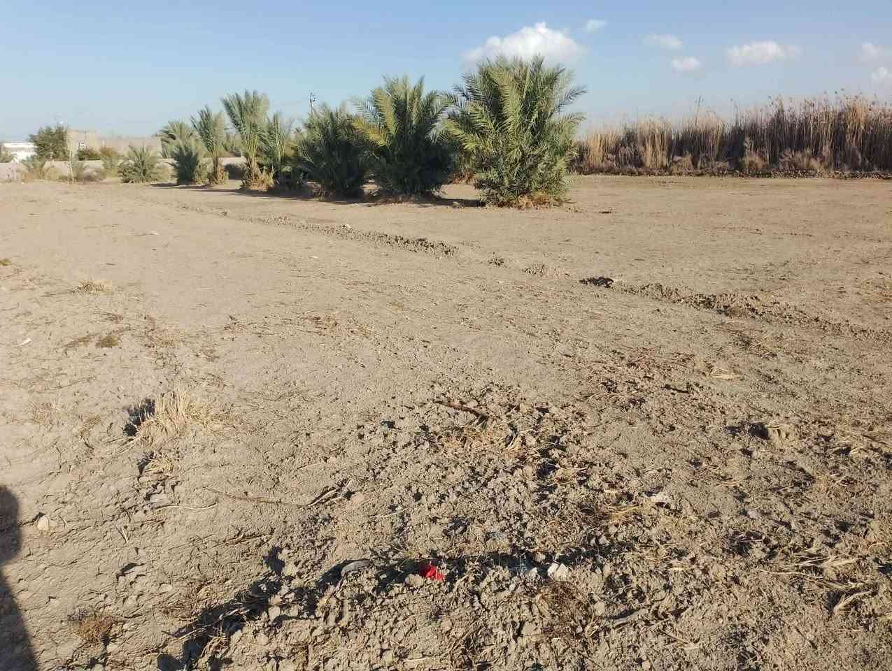 عرصات زراعي خلف حي الجامعه زراعي يم البو صالح ***********
