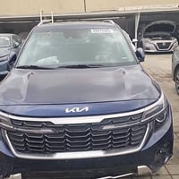 كيا سيلتوس • ٢٠٢٤ • كتاب شهداء