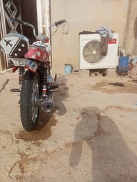 رابيدو • عزيزية • ماشيه قليلة