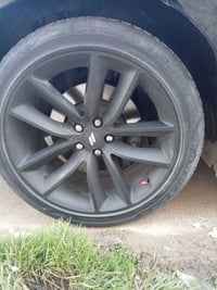 ويل جديد • بدون ضرر • موصل