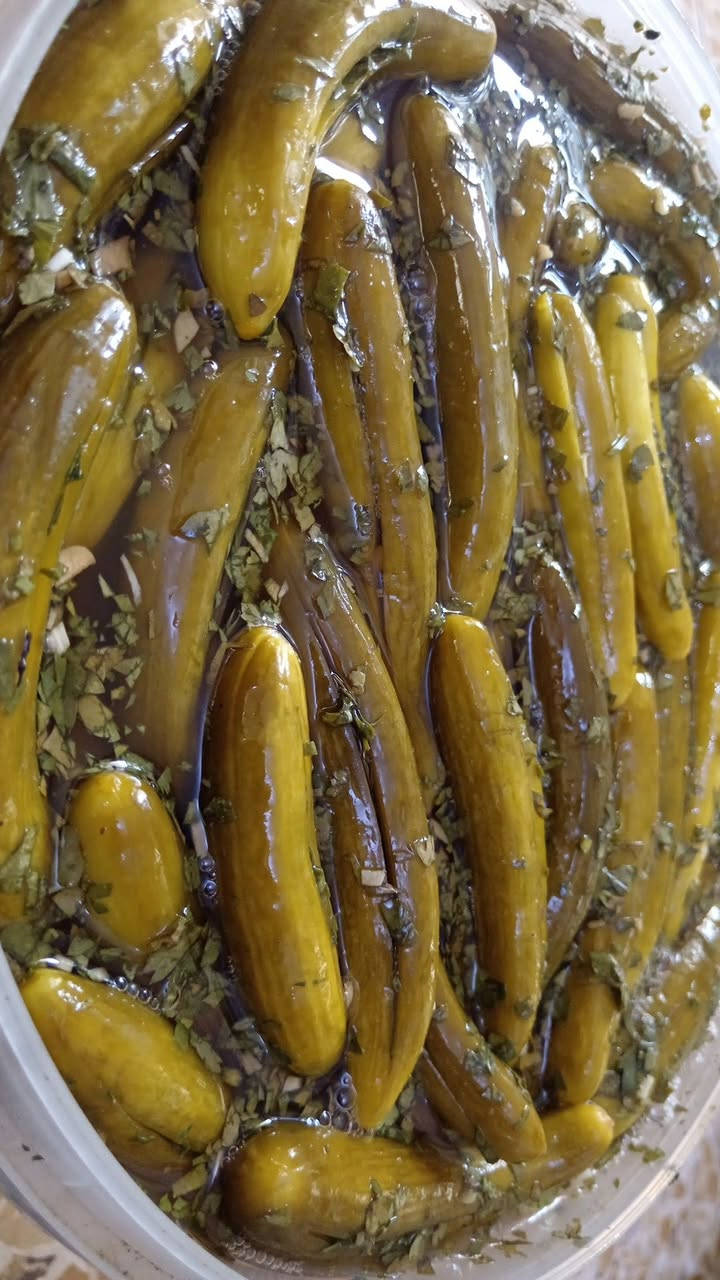 طرشي خيار محشه الكيلو ب4
توصيل داخل الشعله الفين  المناطق المجاوره 3


**إذا كنت صاحب هذا الإعلان وتريد حذفه لأي سبب، رجاءا أرسل رسالة إلى الدعم الفني**
