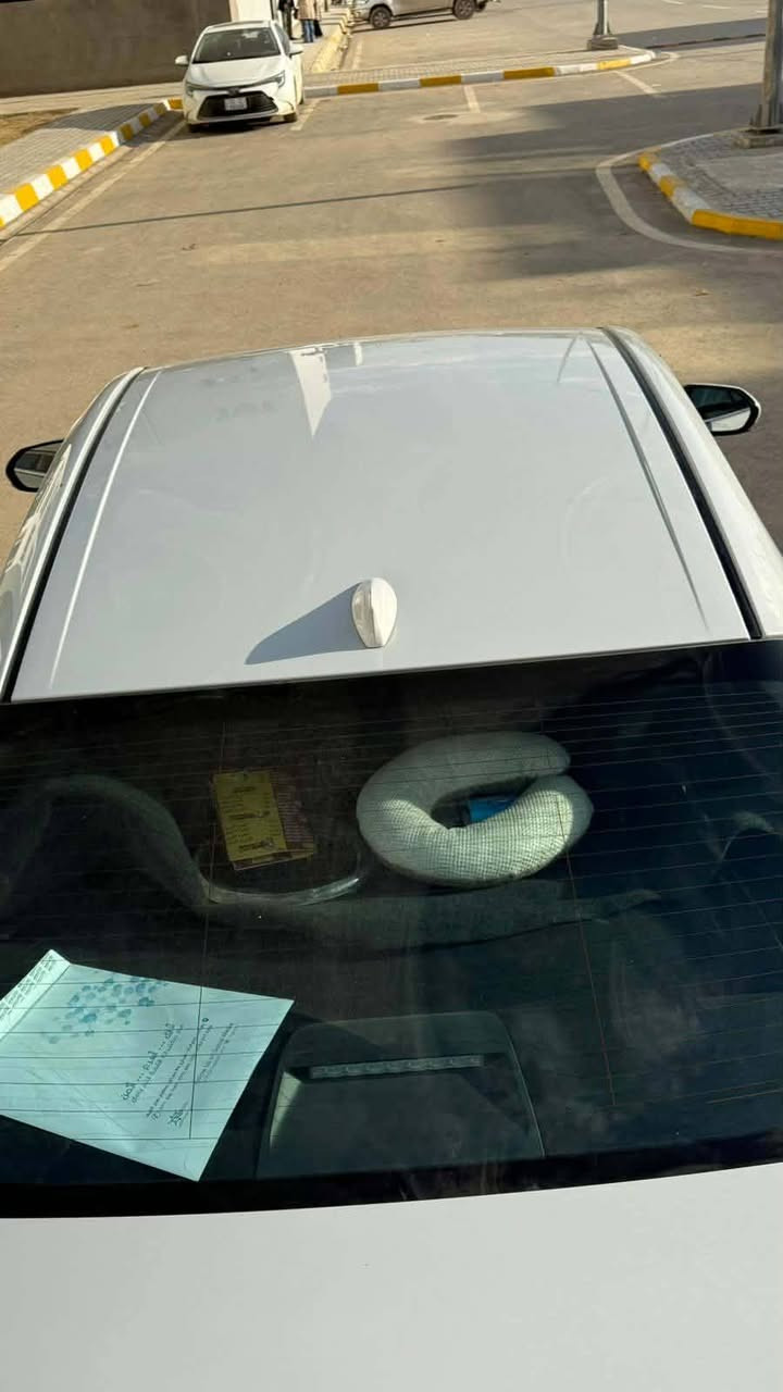 اخوان مكلف بل نشر.     السلام عليكم كامري اصل ياباني مديل 2024 وارد أمريكي كير محرك  تبريد مكفولات حادثهه جاملغ كد شبر وبنيد كد شبر نفسه مصلحات تخم تاير سياره ماشيه 41سياره جديده رقم أربيل تحويل مباشر مكان بغداد قرب مجمع بسمايه السعر 220$اتصل واحنه بل خدمه***********
