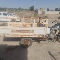 ستوتة • ثالث يفلت • بين الرميثة والحمزة