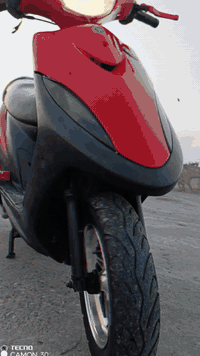 ماكس • عدله • المجر الكبير