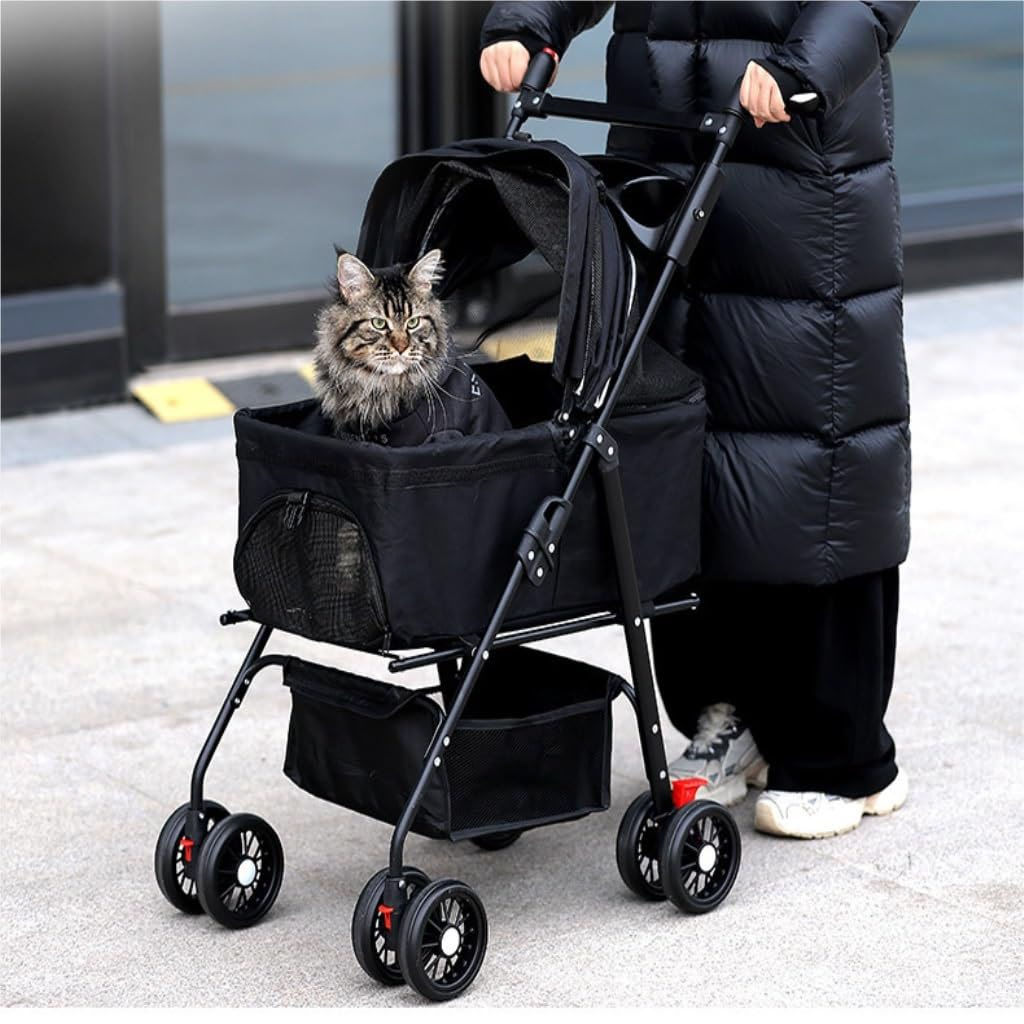 متوفر توصيل 🧣


**إذا كنت صاحب هذا الإعلان وتريد حذفه لأي سبب، رجاءا أرسل رسالة إلى الدعم الفني**