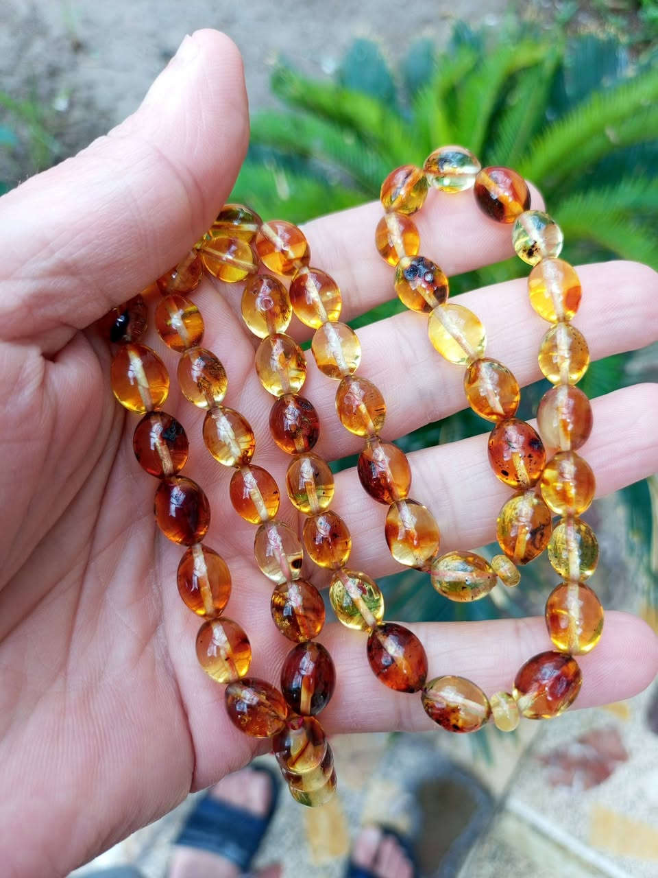 كهرب بولندي حر بحر البلطيق أبو الحشرة ٥١ خرزة عطر نومي بصره بالتسبيح


**إذا كنت صاحب هذا الإعلان وتريد حذفه لأي سبب، رجاءا أرسل رسالة إلى الدعم الفني**