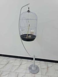 ديكور منزلي • سعر خاص • توصيل محافظات