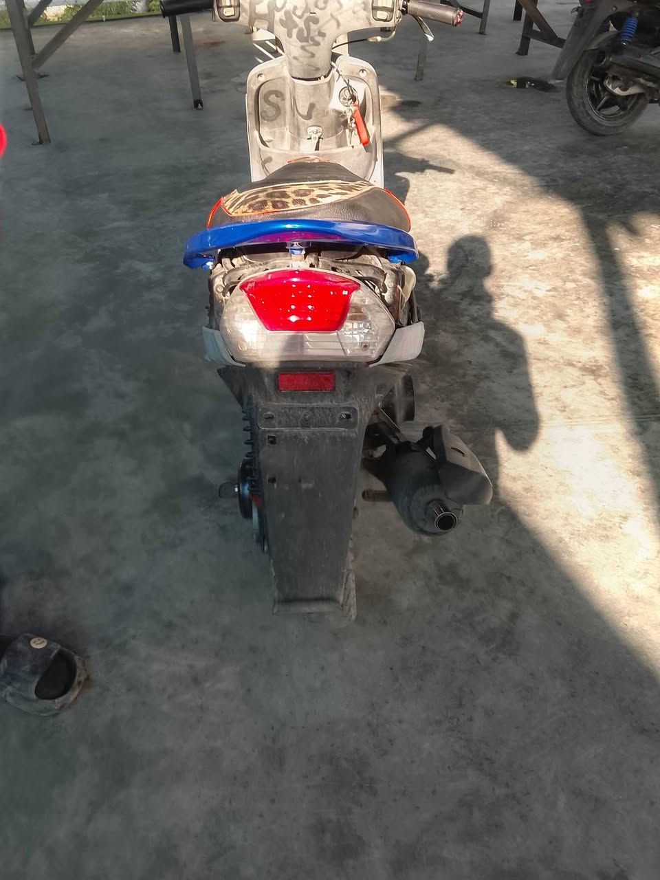 للبيع ماكس منغولي 325 بيهة مجال دراجه شغاله نكره سلف اي نقص مابيهة كفرات موجوده كلش مانلقصهة مكان بغداد الكريعات شراي يتصل ***********
