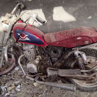 شغاله • مديل 18 • عوزها ترتيب