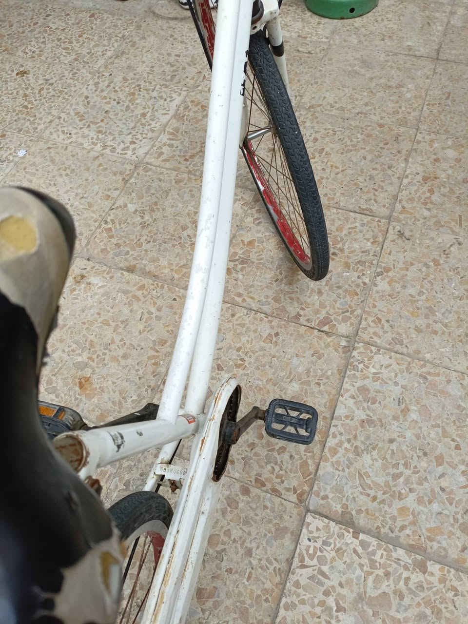 السلام عليكم بايسكل سياحي كلشي ما بيه للبيع سعر 45 وبيه مجال قليل مكاني بصره كزيزه


**إذا كنت صاحب هذا الإعلان وتريد حذفه لأي سبب، رجاءا أرسل رسالة إلى الدعم الفني**