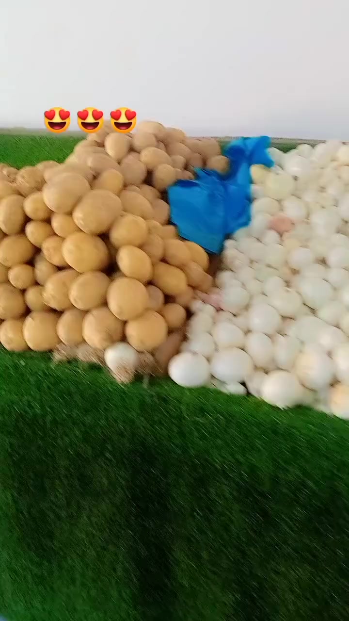 سلام عليكم حبايب كلبي يم علوت عصام كلشي بلاش


**إذا كنت صاحب هذا الإعلان وتريد حذفه لأي سبب، رجاءا أرسل رسالة إلى الدعم الفني**