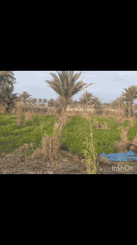 وبركاته متابعينا الكرام تحية إكرام ... فرصه استثماريه جميله روعه جدا.....