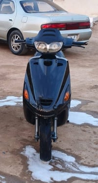 فراشه فحل • كامله • زنون