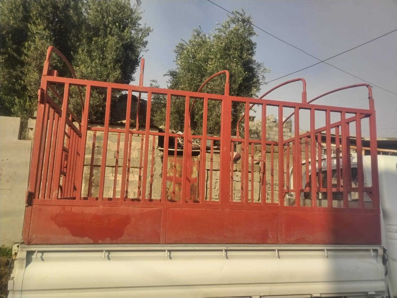 محجل نظيف للبيع.                 ***********
