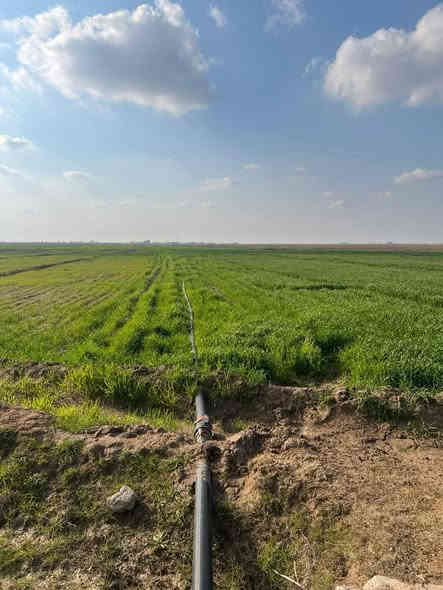 اللهم صلي وسلم وبارك على سيدنا محمد وعلى آله سيدنا محمد السلام عليكم ورحمة الله وبركاته عندي كاع دوانم لبيع المساحه 40دوانم طابو زراعي سند 25طابو الفلوجه ذراع دجله منطقة شيخ عامر كلش قريب عله جسر سبع البور وعله التاجي عله الشارع عله الصب الرواي مال المي السقي كلش حلوه تخبل عندي متوفره كافة الخدمات السعر الدونم الواحد 11مليون وبيه مجال اتصل على الرقم ***********ابوكاظم هاذه رقمي بي واتساب راسلني خاص بمطقه العيساويه  حته تقطيع نبيع من دونم وفوق
