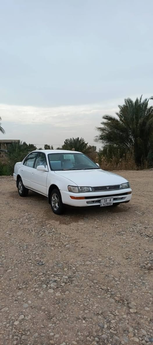 سلام عليكم سياره كورلا للبيع رقم بابل 18انكليزي مشروع وطني شرط تحويل ثاني يوم سنويه  2029تخم تاير حداديه جديده كهربائيّات كله شغاله كير ومكينه مكفولات سياره جاهزه دوشمه جديده دشبول مصبوغه عام جماليه مكفوله من الكص ونقل جثه والكلبه والعيب شرعي والضربه القويه عنوان واسط كوت سعر 53ورقه وبيه مجال شراي يتصل وبيه خير ويدلل ***********📞📞
