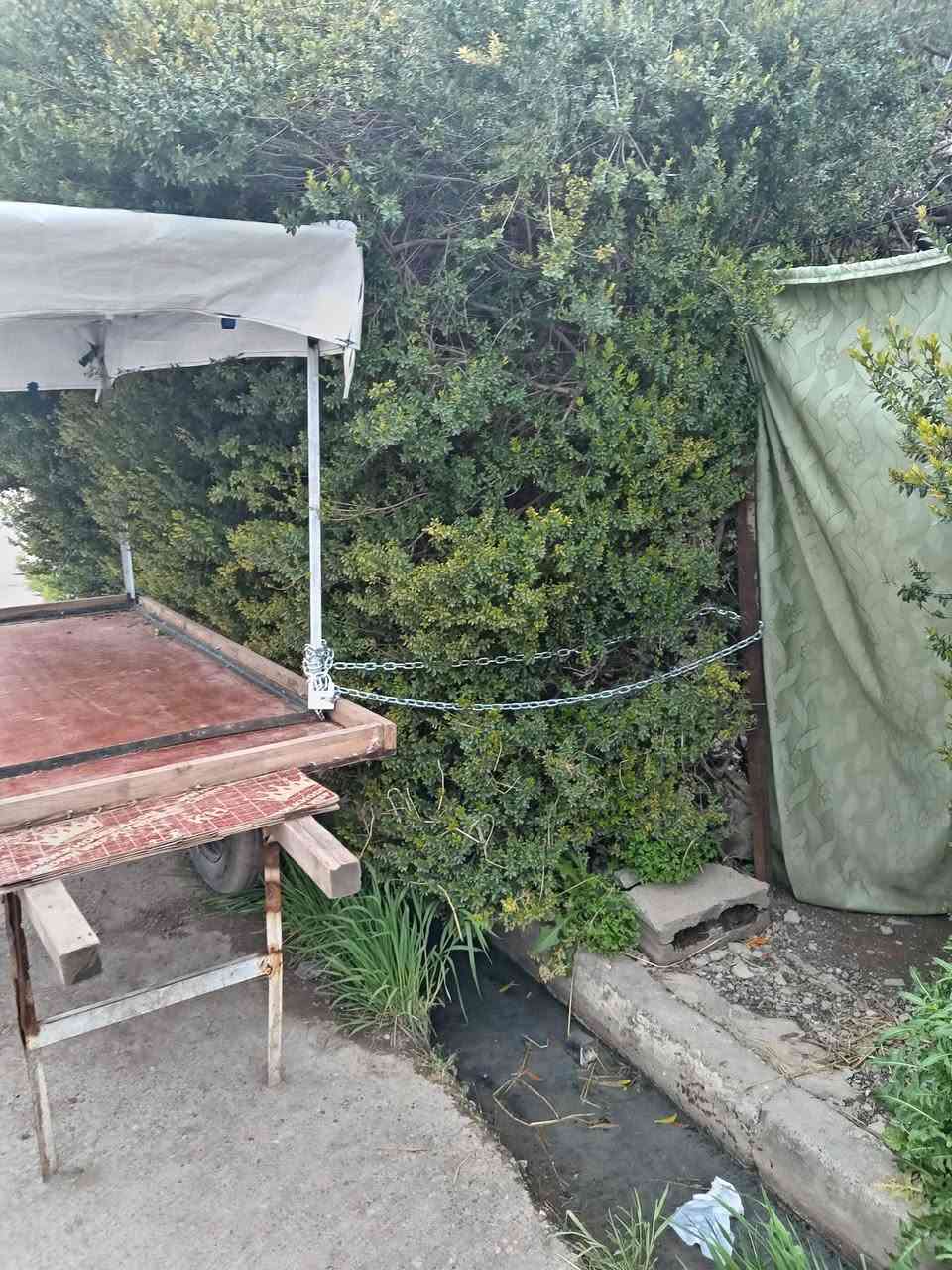 عربان للبيع    ***********

