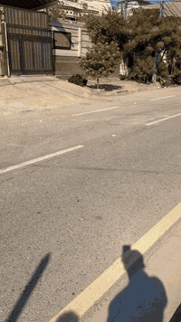 قطعت ارض بستنه ملك صرف مساحه 800 متر  الموقع كربلاء حي العباس على الحولي السايدين مباشر للستفسار والتواصل ***********  ***********
