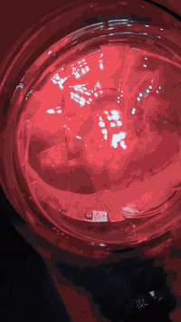 سكنس جبلي للبيع السلام عليكم دراجه سكنس جبلي 2011 للبيع اوراق وبيها من...