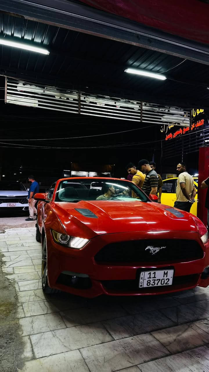 للبيع موستنك ٢٠١٥  ٦ سلندر كشف ماشية ٨٨ m
كير مكينه تبريد كفالة 
صدر امامي خلفي جديد 
ادامة كاملة للسيارة 
تخم تاير وويل 
جاهزة السيارة 
صور السونار مرفقة 
رقم بغداد ب اسمي 
سعر ١١٥ ورقة وبي مجال
بغداد البنوك 
***********
