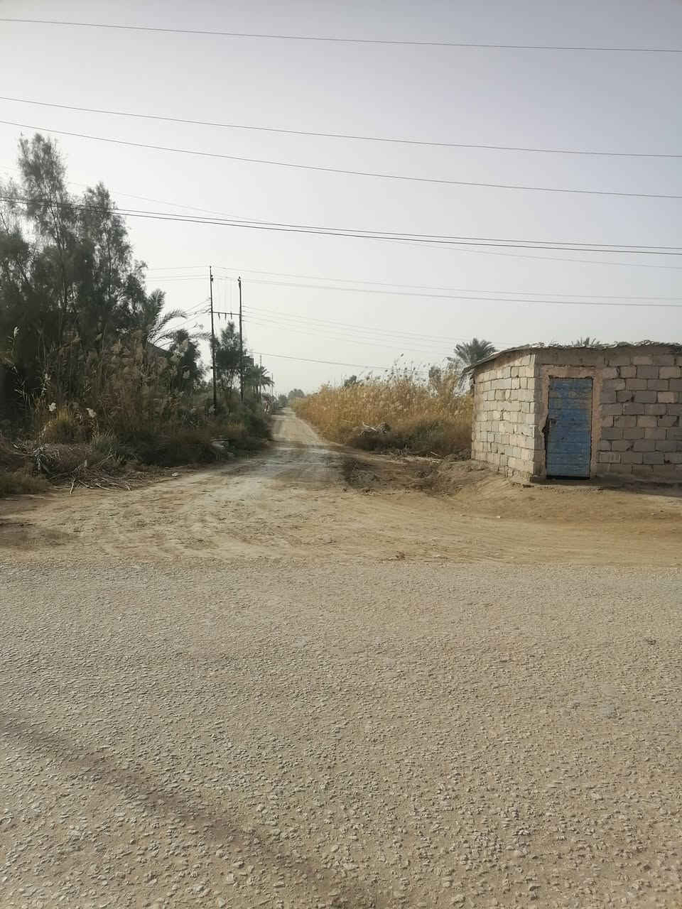 سلام عليكم ورحمة الله دونم ونص  بابل جبله فرع مصلخ ثاني قطعه يعني ٥دقايق بسوك ماء نهر  رساله  كهرباء كافه الخدمات تجي وشوف  *********** و*********** و***********
