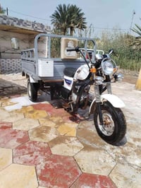 ستوته • ٢٠٢١ • اوراق كامله