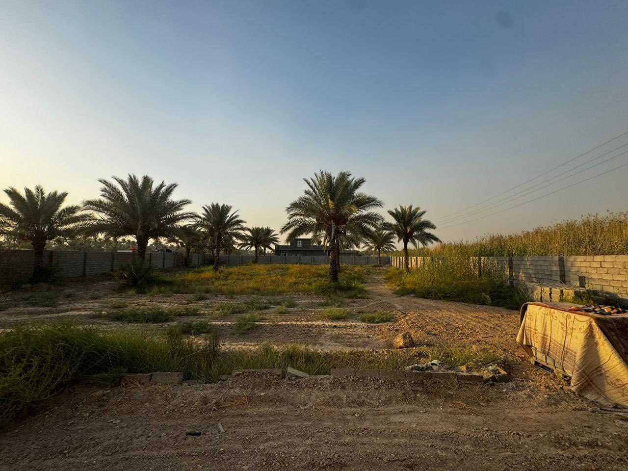 🔴 للبيع مزرعة مميزة – بيع مستعجل 🔴
السلام عليكم

إخوان، للبيع مزرعة موقعها ممتاز في

📍 سلمان باك – الباوي

📌 مقابل أسواق المهدي

📐 المساحة: دونم كامل

🧱 المزرعة مسيّجة بلوك بالكامل

🏠 بيها بيت مبني مساحة تقريباً 85 م

🛋️ البيت مؤثث وجاهز للسكن

🌴 المزرعة تحتوي على نخيل مثمر

📄 نوع الأرض: وقف شيعي

⚡ بيع مستعجل – السعر مناسب

📞 للاتصال:

***********
***********
❗ الرجاء الاتصال للجادين فقط

ℹ️ مميزات الأراضي الوقف الشيعي بالعراق:

حتى تكون الصورة واضحة للمشتري:

✅ سعرها أقل من الملك الصِرف

✅ عقود رسمية أصولية ومعترف بيها 

✅ تصلح للسكن والزراعة والاستثمار حسب نوع العقد

✅ ما بيها مشاكل تجاوز

✅ إقبال عالي لأنها فرصة استثمار بسعر مناسب

✅ آمنة قانونياً إذا العقد نظامي ومسجل
