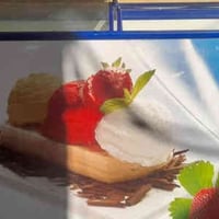 ثلاجة • عارضة انبطاحية • كربلاء الحر