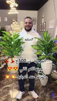 الشحؤة • ديكور • رجعت تاني