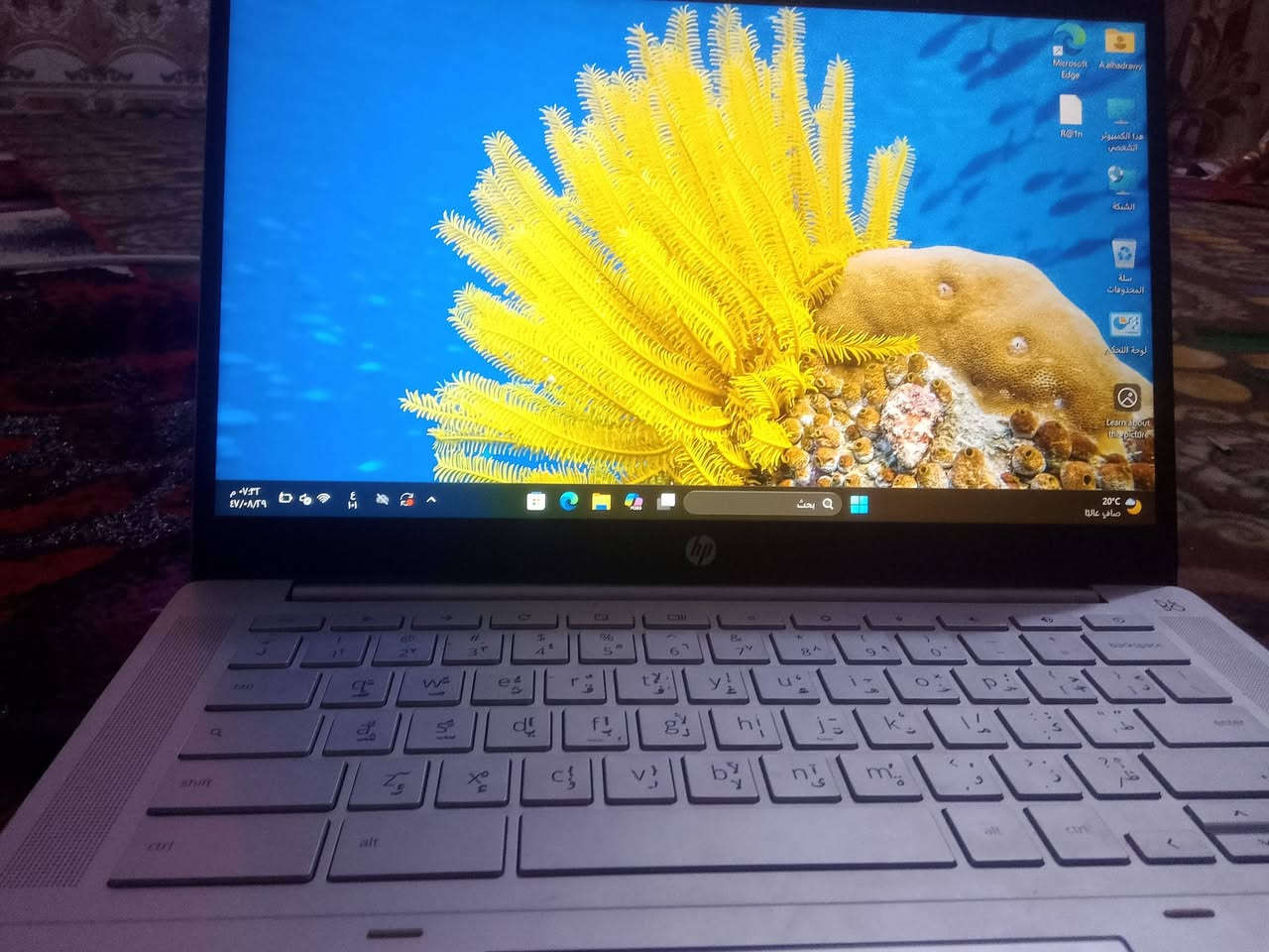 سلام عليكم
حاسبه البيع

او مراوس ب ايباد 

والسعر 80

التواصل عبر الواتساب 

***********
