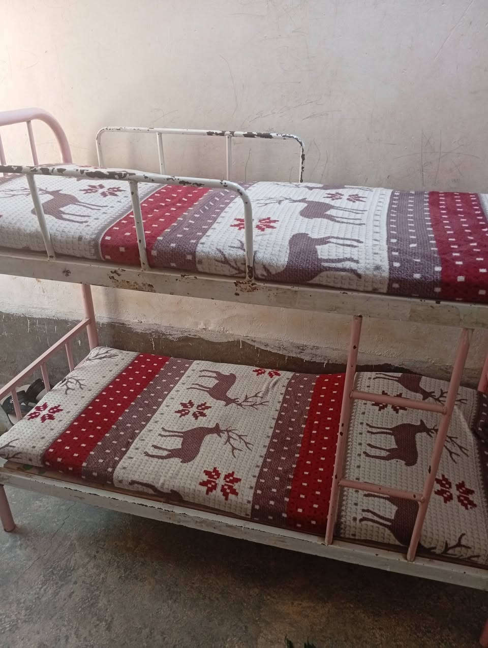 جربايه طابقين ودواشك ضغط مو عادي بسعر 80 الف


**إذا كنت صاحب هذا الإعلان وتريد حذفه لأي سبب، رجاءا أرسل رسالة إلى الدعم الفني**