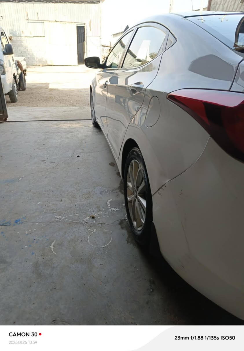 التفاصيل داخل الصور
